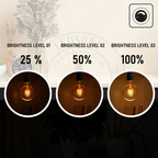 Bloomsbury - G95 Amber Glass LED Globe Bulbs, E27 Dimmable 2700K, 4W, Set of Three