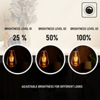 Burlington - ST64 Amber Glass Dimmable LED Bulbs, E27 2700K, 8W (Pack of 10)