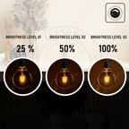 Kensington - Vintage Amber Glass G95 LED Globe Bulbs, E27 2700K, Pack of Six