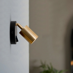 The Corvinwood Wall Light — Rotatable Spotlight