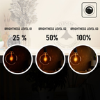 Soho - Amber Glass Globe LED Bulb, G125 E27 Dimmable 8W