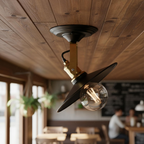 The Bramfield Dual — Flat Shade Wall & Ceiling Light