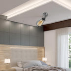The Flexchrome Pendant — Cage Ceiling Fixture