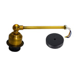 The Blushmore Wall Light — Brass Arm Sconce