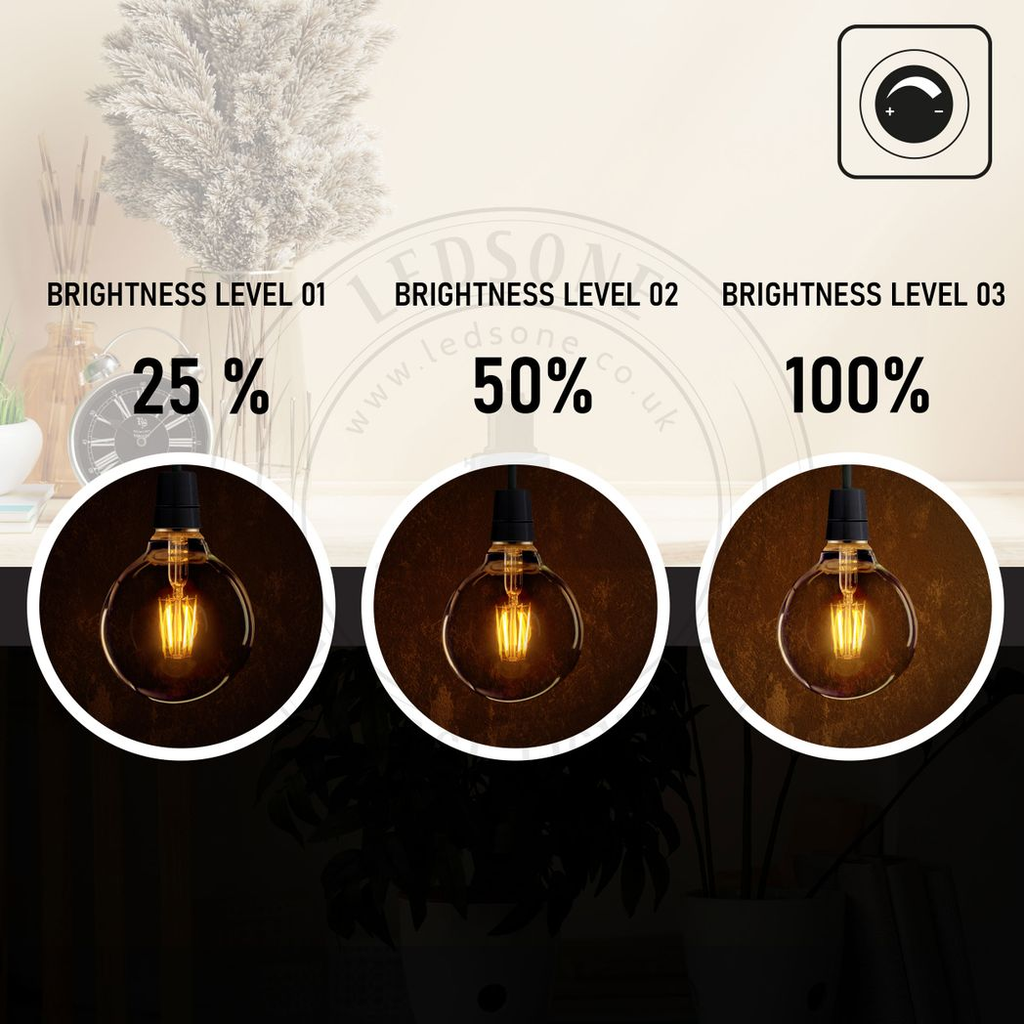 Kensington - Vintage Amber Glass Globe LED Bulbs, G95 E27 2700K, 8W, Pack of 2
